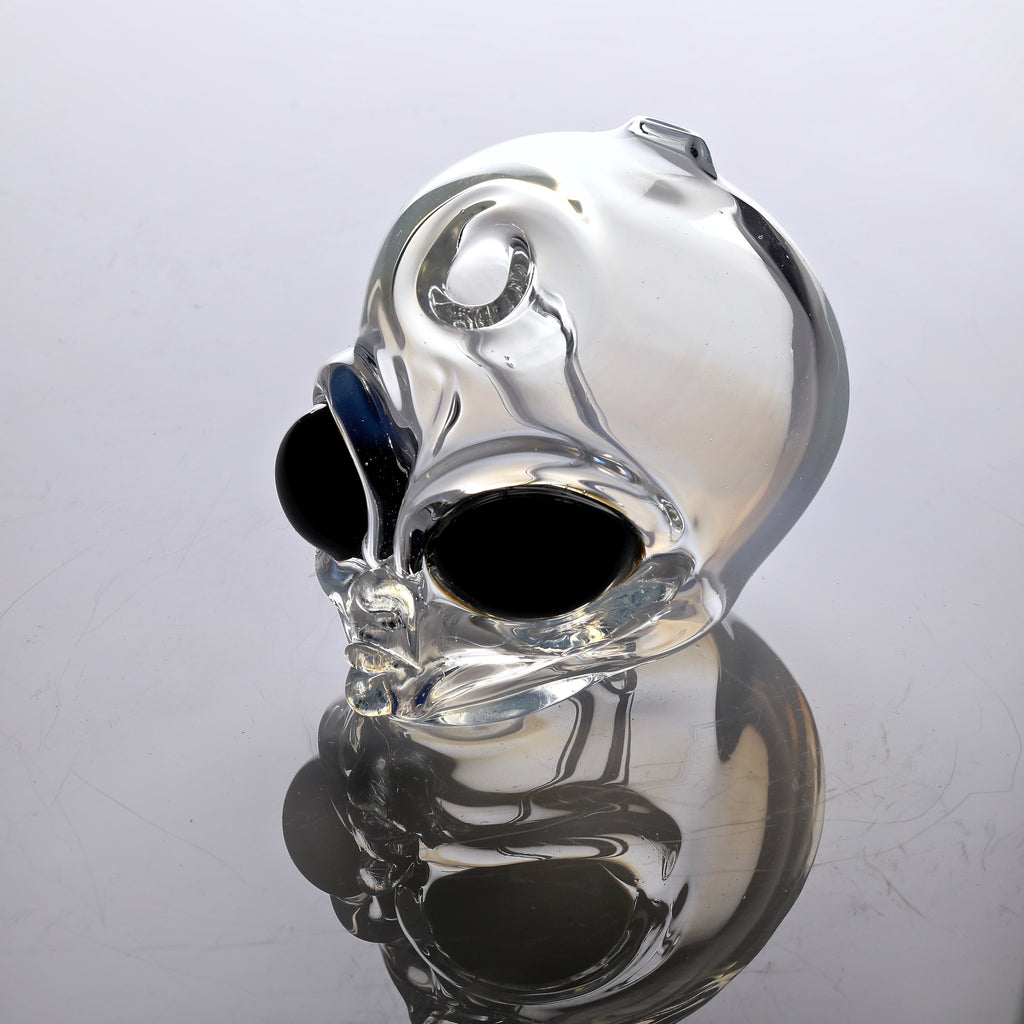 Ghost Dewar Transparent Ghost  Alien Head