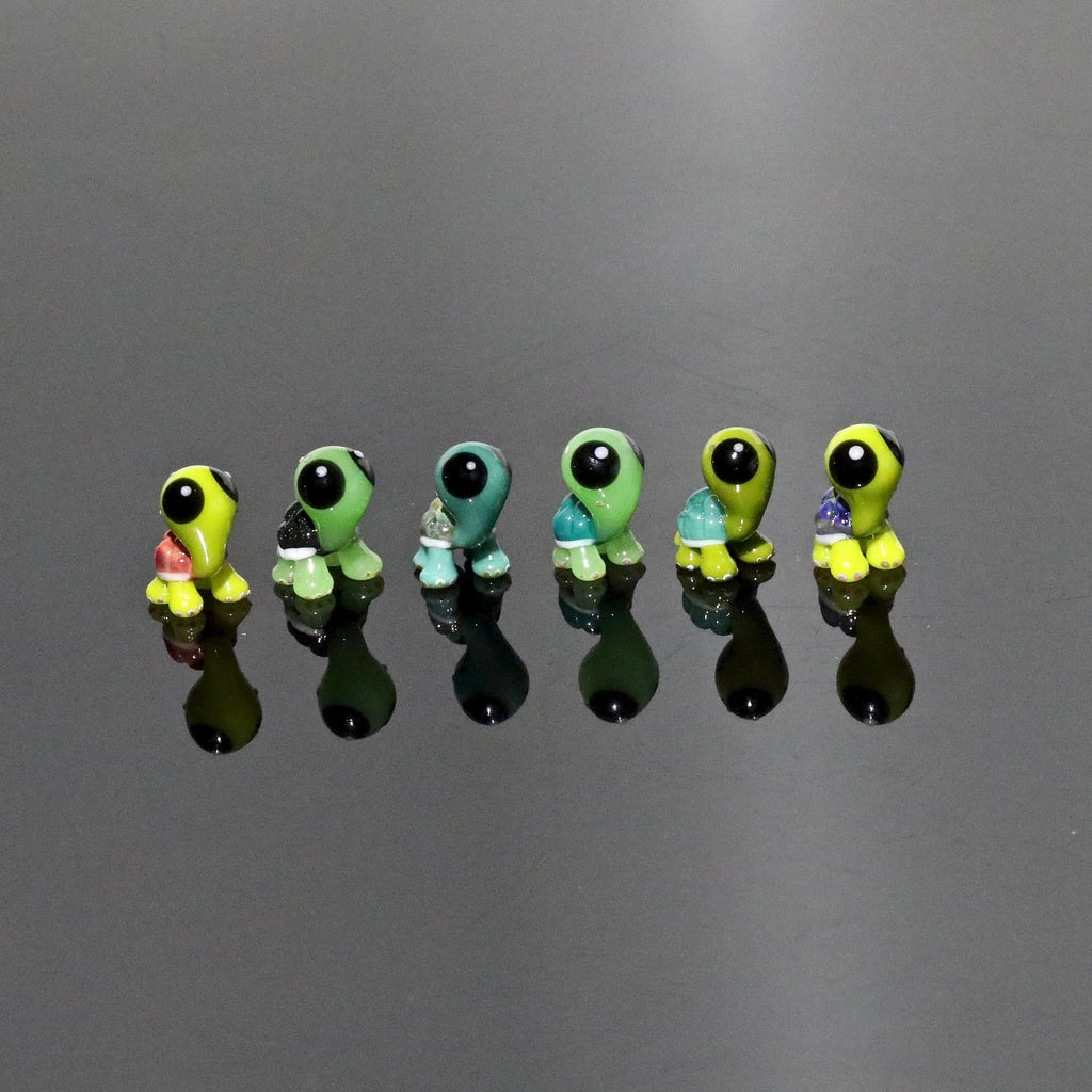 Porter Terpy Turtles