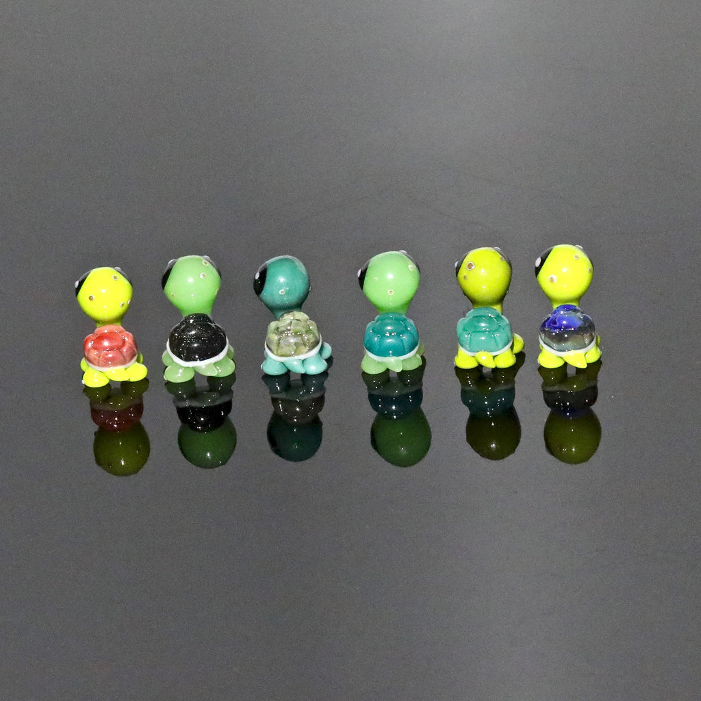 Porter Terpy Turtles