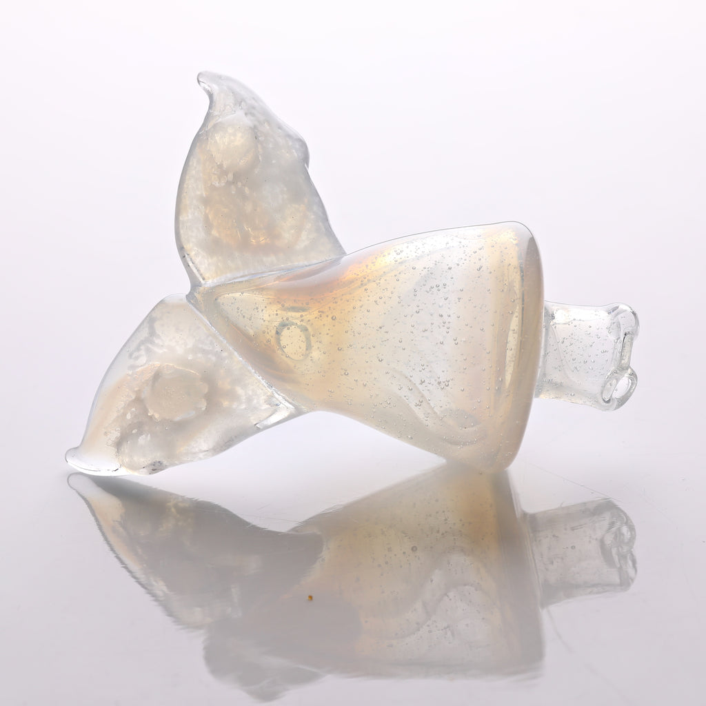 Chadd Lacey Whale Tale