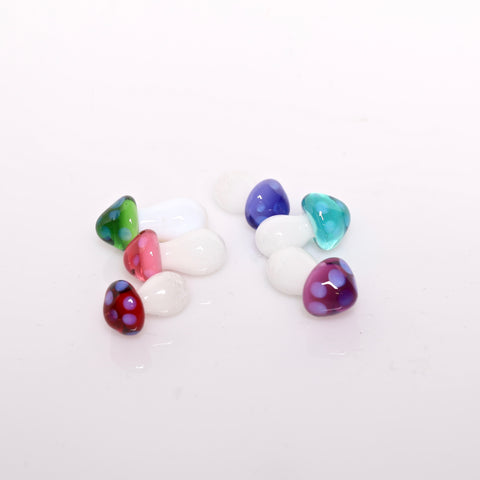 Phil Siegel Mushrooms