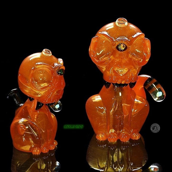 Porter_glass  Full Body Awoken cat