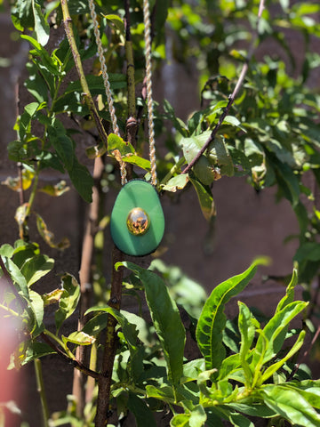 Jsmart Golden Avocado
