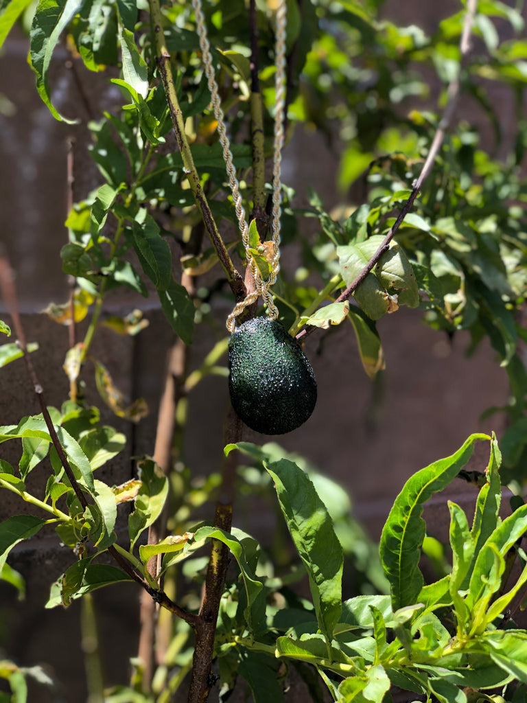 Jsmart Golden Avocado