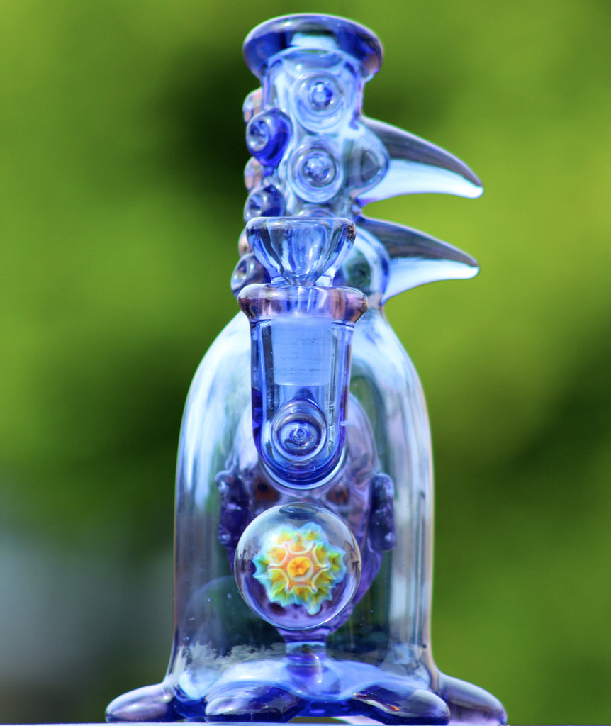 Head IN Bottle BD & PP