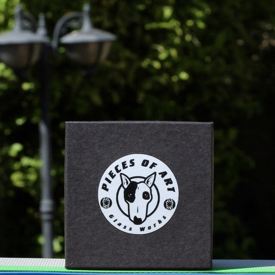 Extraterrestrial Pendant #5