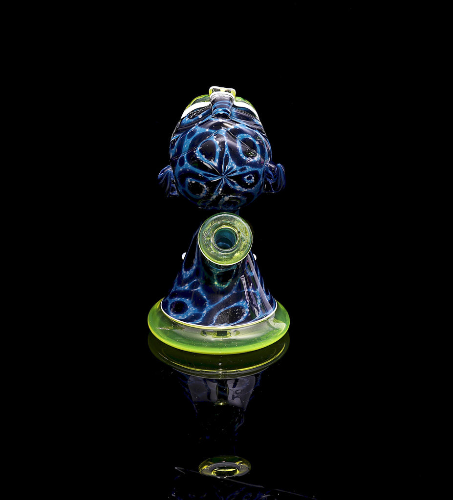 Pinky Blue Spruce Jaguar Jammer