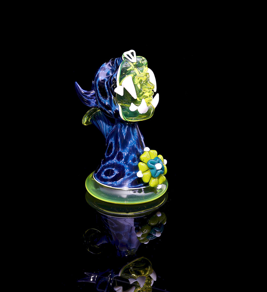 Pinky Blue Spruce Jaguar Jammer