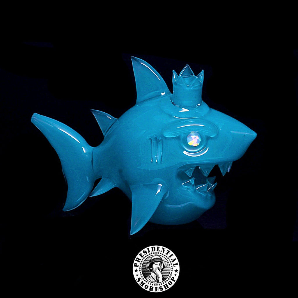 Niko Cray Aqua Azul Shark