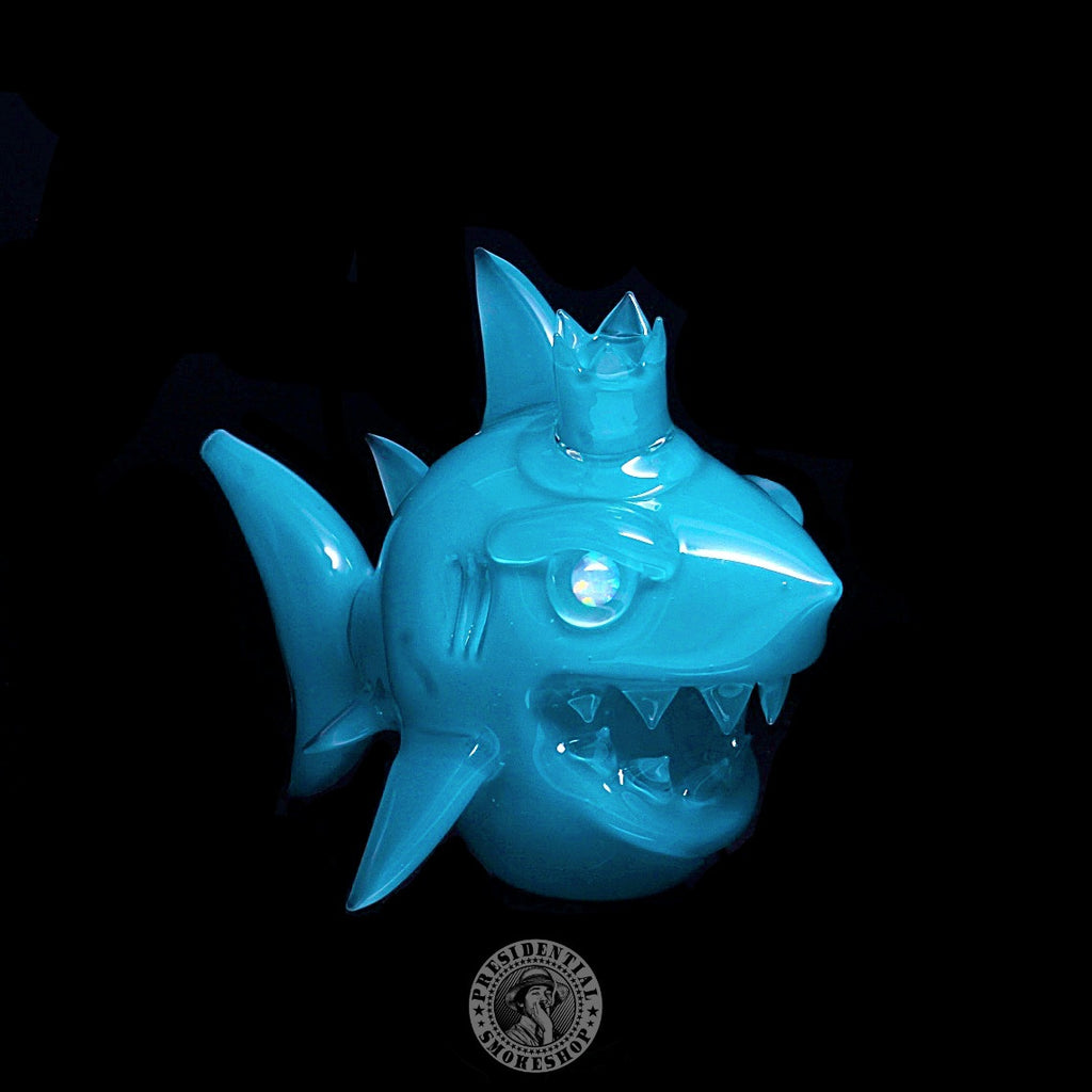 Niko Cray Aqua Azul Shark