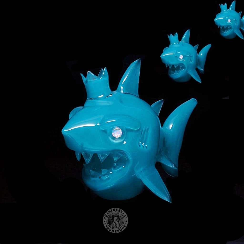 Niko Cray Aqua Azul Shark