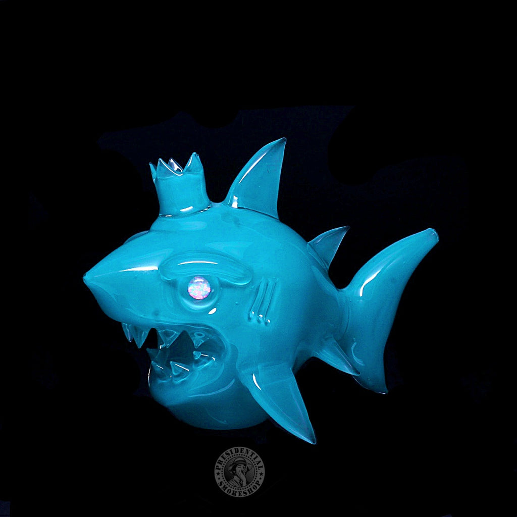 Niko Cray Aqua Azul Shark