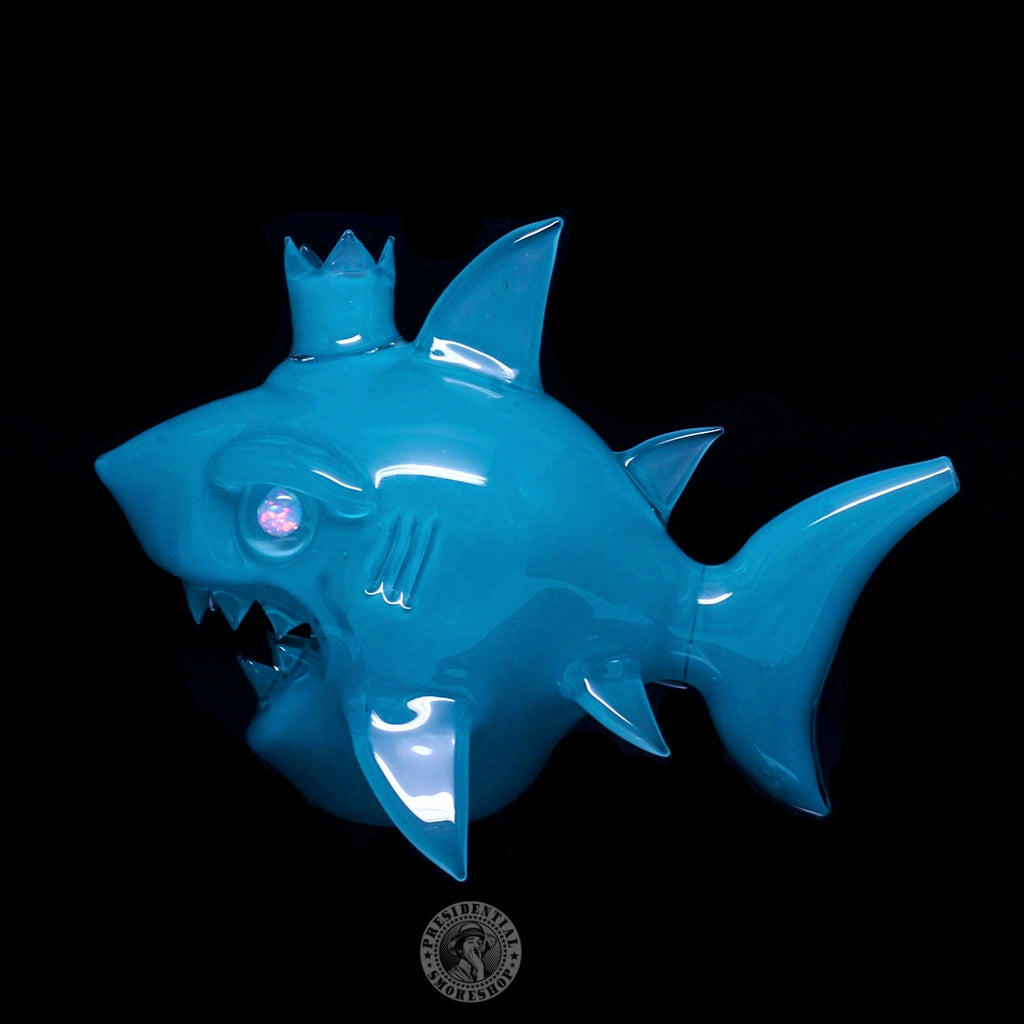Niko Cray Aqua Azul Shark