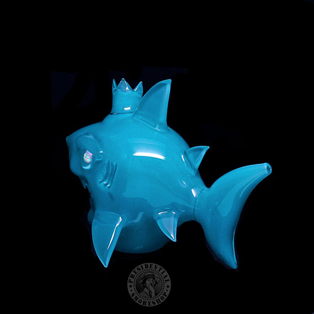 Niko Cray Aqua Azul Shark