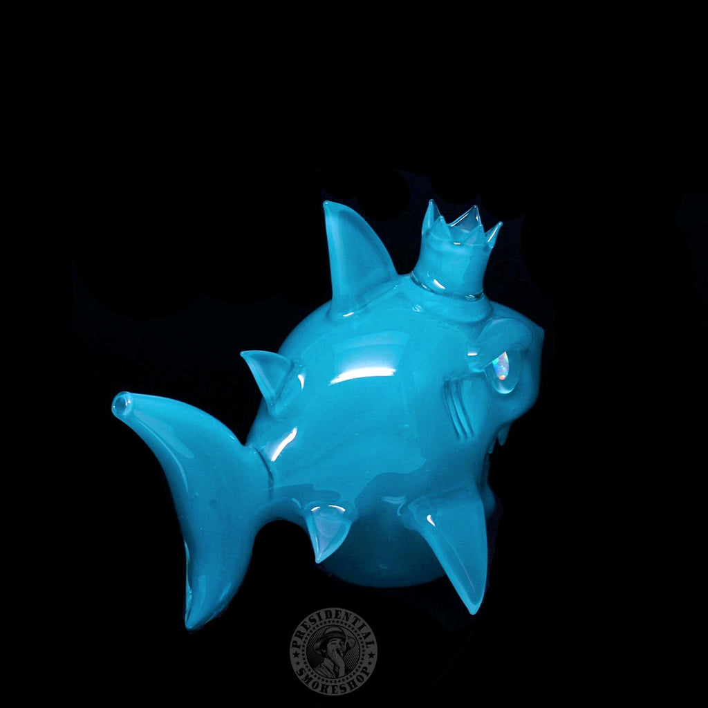 Niko Cray Aqua Azul Shark