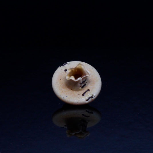 Peter Muller Silver Struck Cap