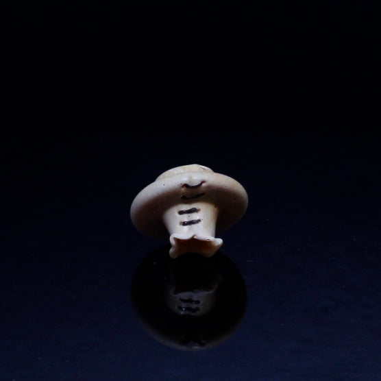 Peter Muller Silver Struck Cap