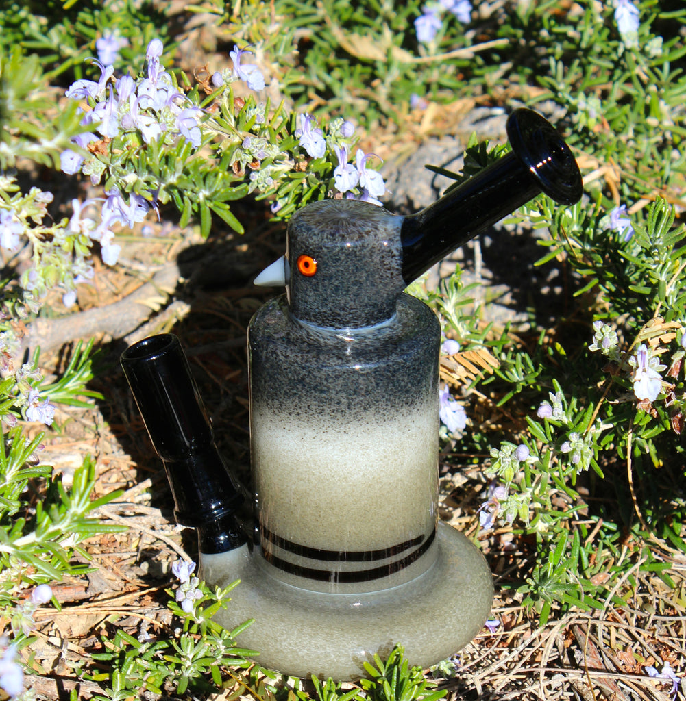 JAG Urban Pigeon Riglet “Squab”