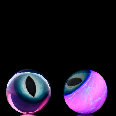 Salt Royal Jelly, Lucy Marble